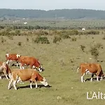 L'altare Bianco ヴィエステ