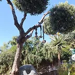 ベッド・アンド・ブレックファスト L'altare Bianco ヴィエステ