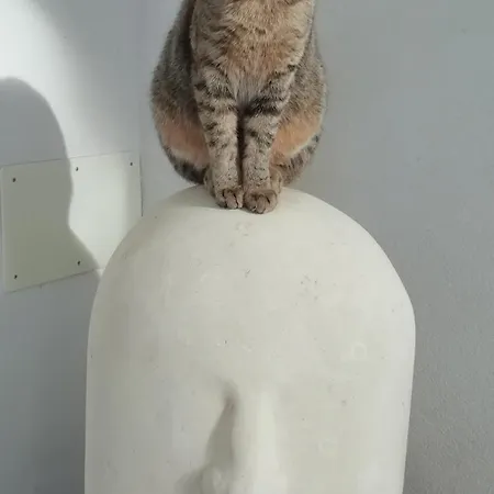 L'altare Bianco Vieste