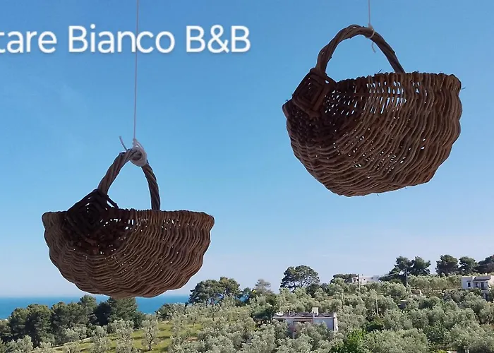 L'altare Bianco 住宿加早餐酒店 维耶斯泰